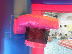 04 28 Foot Pink Purple Wet Dry 28' Pink & Blue Bounce House Wet or Dry Water Slide Combo